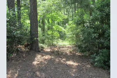 375 Noel, Livingston, TX 77351 - Photo 25