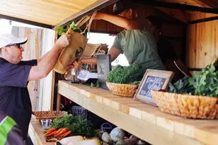 227 Mandarin Mist St, Richmond, TX 77406 - Photo 13