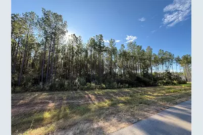 15895 Ridge Oak Road, Willis, TX 77378 - Photo 7