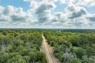 Tbd County Road 132, Hallettsville, TX 77964 - Photo 15
