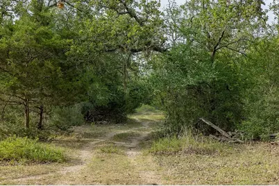 Tbd County Road 132, Hallettsville, TX 77964 - Photo 5
