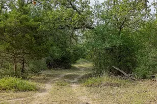 Tbd County Road 132, Hallettsville, TX 77964 - Photo 5