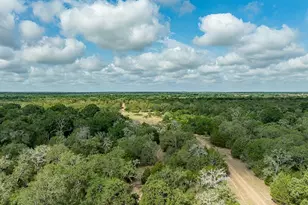Tbd County Road 132, Hallettsville, TX 77964 - Photo 13