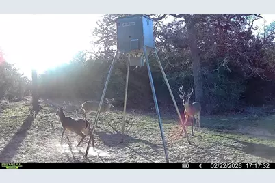 Tbd County Road 132, Hallettsville, TX 77964 - Photo 25