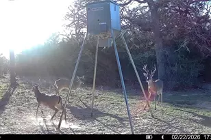 Tbd County Road 132, Hallettsville, TX 77964 - Photo 25