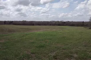 1703 N Park Street N, Brenham, TX 77833 - Photo 9