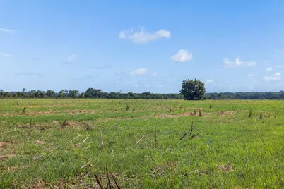 210.6 Ac Black Bridge Road, Calvert, TX 77837 - Photo 17
