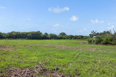 210.6 Ac Black Bridge Road, Calvert, TX 77837 - Photo 19