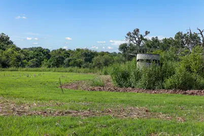 210.6 Ac Black Bridge Road, Calvert, TX 77837 - Photo 11