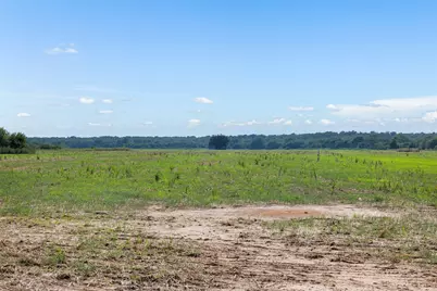 210.6 Ac Black Bridge Road, Calvert, TX 77837 - Photo 13
