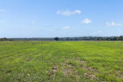 210.6 Ac Black Bridge Road, Calvert, TX 77837 - Photo 15