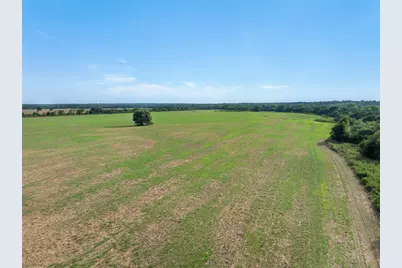210.6 Ac Black Bridge Road, Calvert, TX 77837 - Photo 5