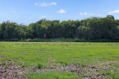 210.6 Ac Black Bridge Road, Calvert, TX 77837 - Photo 9
