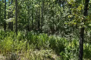 188 Camp Rd, Trinity, TX 75862 - Photo 37