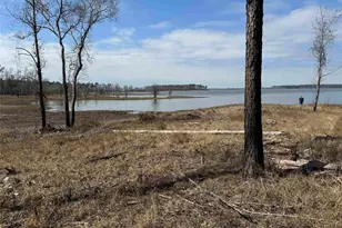 061 Private Road 6026, Brookeland, TX 75931 - Photo 9