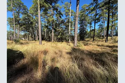 061 Private Road 6026, Brookeland, TX 75931 - Photo 3