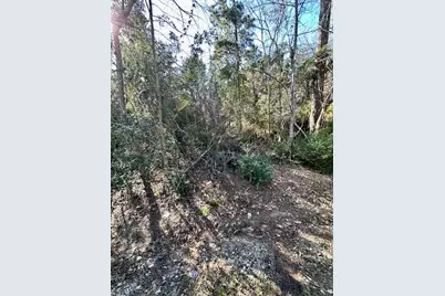 Tbd Gazelle, Onalaska, TX 77360 - Photo 3