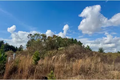 1035 Road 5704, Cleveland, TX 77327 - Photo 7