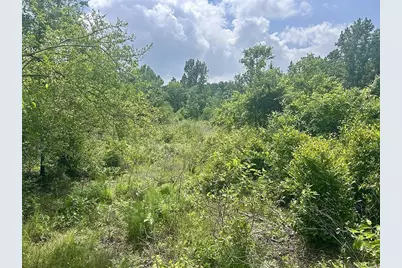 Lot 8 County Road 175, Garrison, TX 75946 - Photo 5