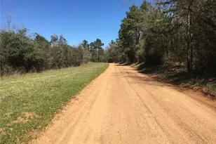 Lot 8 County Road 175, Garrison, TX 75946 - Photo 1