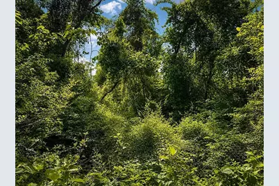 Lot 8 County Road 175, Garrison, TX 75946 - Photo 3