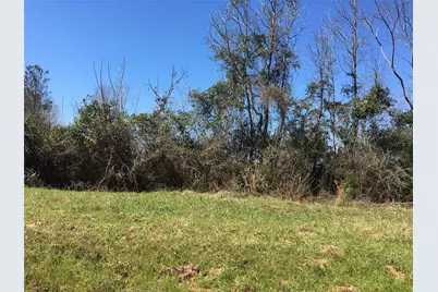 Lot 8 County Road 175, Garrison, TX 75946 - Photo 1