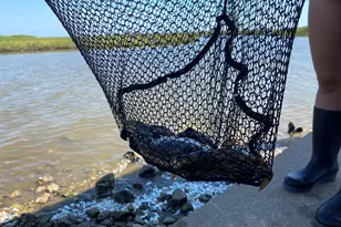 124 Howard Ave, Surfside Beach, TX 77541 - Photo 37