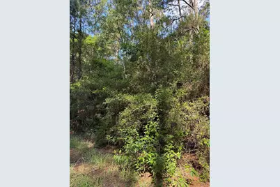Tbd Timberwood Lane, Navasota, TX 77868 - Photo 1