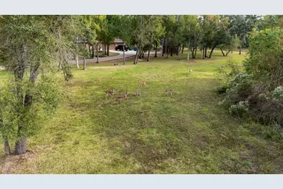 31919 Redfish Trail, Richwood, TX 77515 - Photo 9