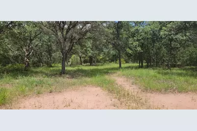 0 Big Buck Road, Weimar, TX 78962 - Photo 13