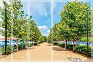 739 Dorothy St, Houston, TX 77007 - Photo 3