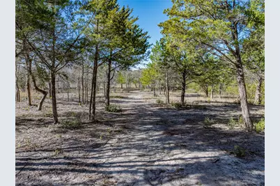 Tbd Bauer Rummel Road, Round Top, TX 78954 - Photo 3