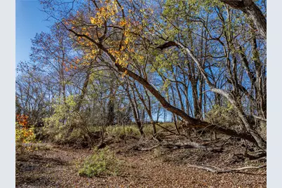 Tbd Bauer Rummel Road, Round Top, TX 78954 - Photo 21
