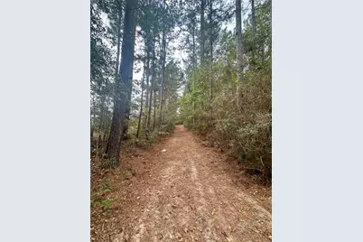 11140 Fm 1484 Road, Conroe, TX 77303 - Photo 17