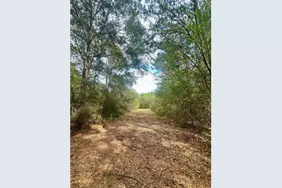 11140 Fm 1484 Road, Conroe, TX 77303 - Photo 15