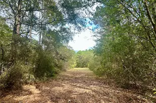 11140 FM 1484 Rd, Conroe, TX 77303 - Photo 15