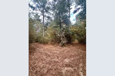 11140 Fm 1484 Road, Conroe, TX 77303 - Photo 19