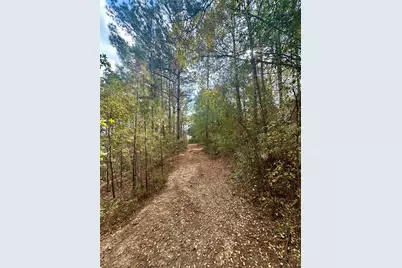 11140 Fm 1484 Road, Conroe, TX 77303 - Photo 23