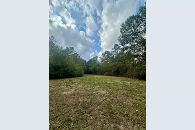 11140 Fm 1484 Road, Conroe, TX 77303 - Photo 3