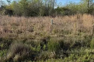 668 Rd 5816, Cleveland, TX 77327 - Photo 3