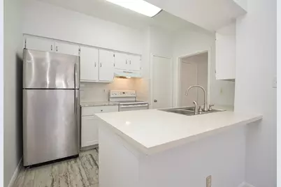 2475 Underwood Street #391, Houston, TX 77030 - Photo 1