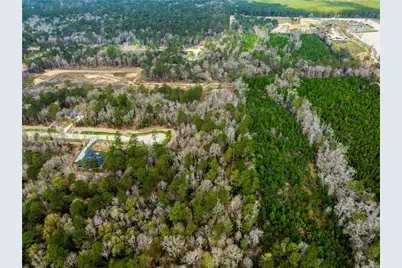 240 Hollow Hill Road, New Waverly, TX 77358 - Photo 7