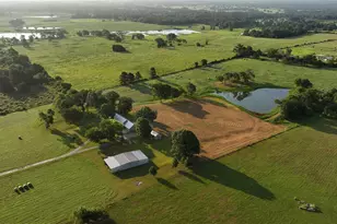 865 Sunnyfield Farm Rd, Montgomery, TX 77316 - Photo 25