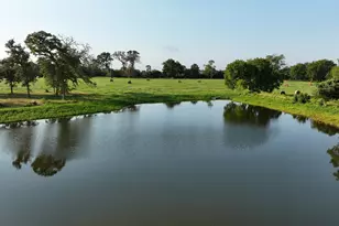 865 Sunnyfield Farm Rd, Montgomery, TX 77316 - Photo 27