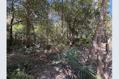 Lot 244 Mehringer Road, Shepherd, TX 77371 - Photo 9