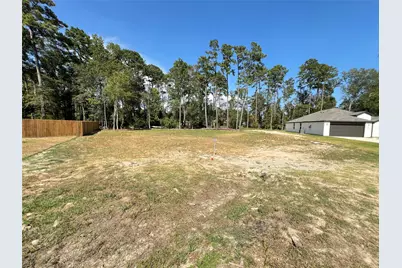 818 Scribe St, New Caney, TX 77357 - Photo 7