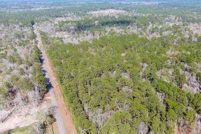 6698 Pine Shadows Road, Cleveland, TX 77328 - Photo 5