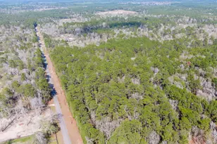 6698 Pine Shadows Rd, Cleveland, TX 77328 - Photo 5