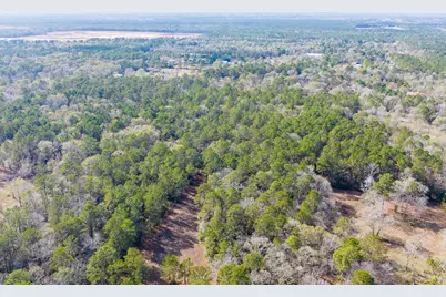 6698 Pine Shadows Road, Cleveland, TX 77328 - Photo 9