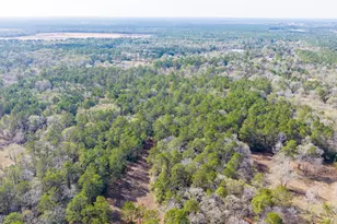 6698 Pine Shadows Rd, Cleveland, TX 77328 - Photo 9